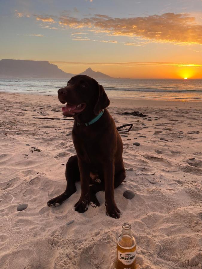 Sunset Beach Holiday Accommodation Cape Town Eksteriør bilde